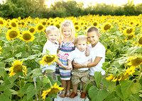 Sunflower Mini - Brooke & Havyn